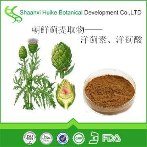 朝鲜蓟提取物洋蓟酸3% 二十二年源头生产厂家