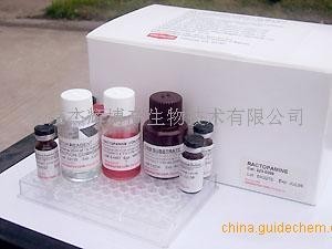 小鼠β淀粉样蛋白40(Aβ40)ELISA试剂盒价格
