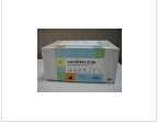 大鼠白三烯E4(LTE4)检测试剂盒 产品图片