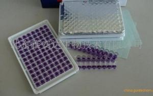 北京供应大鼠血管紧张素转化酶(ACE)ELISA kit试剂盒 产品图片