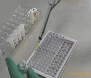 兔环磷酸腺苷(cAMP)ELISA试剂盒进口原装