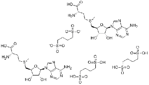 S-腺苷蛋氨酸1,4-丁二磺酸盐