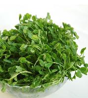 豌豆苗喷雾干燥粉