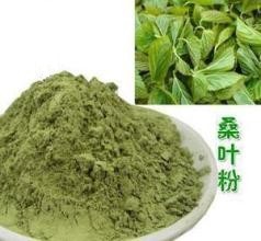 供应 桑叶喷雾干燥粉 食品级 质高价优