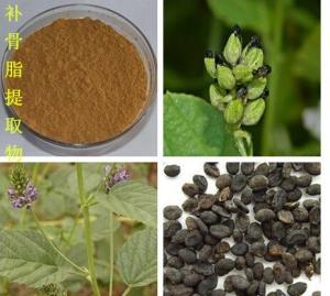 补骨脂提取物 补骨脂素5% 多种规格 可定制 1kg起订