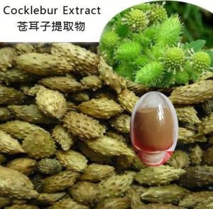  苍耳子浸膏粉