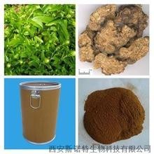 苍术浸膏粉 苍术提取物 30:1 高比例提取 水溶性粉