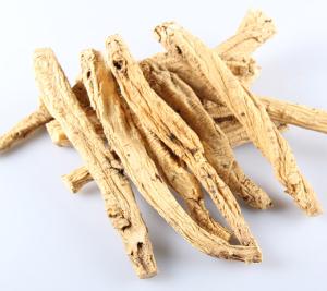 高丽参提取物 供应  