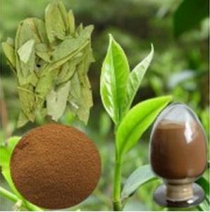 番泻叶浸膏粉