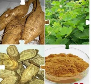 葛根膳食纤维粉 食品级原料 多种规格 免费试样