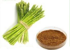 芦笋粉 芦笋提取物 芦笋膳食纤维