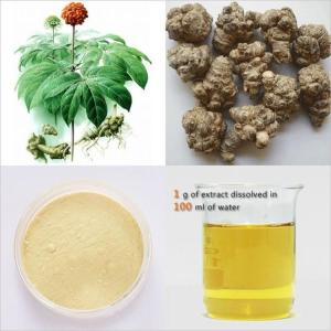 三七多糖30% 食品级 多种规格 可定制