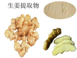 生姜粉 生姜提取物 生姜膳食纤维