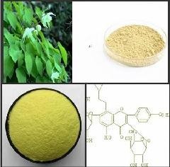 淫羊藿浸膏粉 *