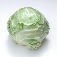 卷心菜喷雾干燥粉