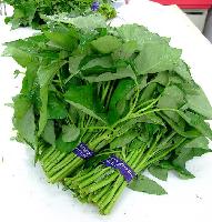 空心菜喷雾干燥粉