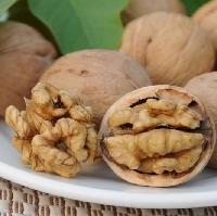 胡桃肉喷雾干燥粉