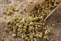 洋甘菊喷雾干燥粉