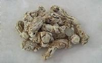 当归喷雾干燥粉