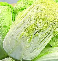 白菜喷雾干燥粉