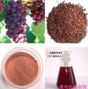 红葡萄粉 红葡萄提取物 红葡萄膳食纤维