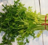 芹菜喷雾干燥粉