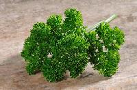 香芹喷雾干燥粉