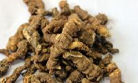 胡黄连喷雾干燥粉