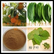 柿子叶提取物 柿子叶粉 全水溶 无沉淀 免费试样