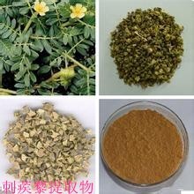 刺蒺藜浸膏粉30:1 刺蒺藜皂甙  多种规格 供应 1KG起订