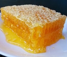 供应 蜂胶提取物 蜂胶黄酮20% 