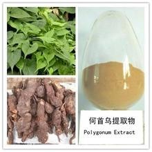 供应 何首乌提取物 何首乌黄酮 