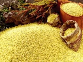 小米粉 小米提取物  小米膳食纤维