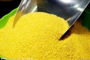 黄金米粉 黄金米提取物 黄金米膳食纤维