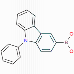 CAS号：854952-58-2；N-苯基-3-咔唑硼酸；9-Phenyl-9H-carbazol-3-ylboronic acid