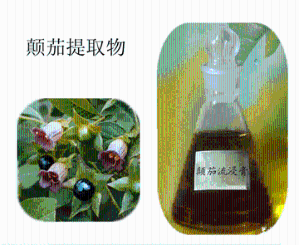 颠茄流浸膏 莨菪碱0.7%~0.8%  棕色液体  包邮