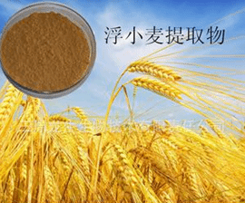 浮小麦多肽   98%含量  现货供应 包邮
