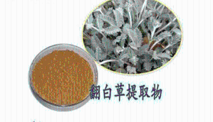 翻白草提取物 10:1水提  包邮