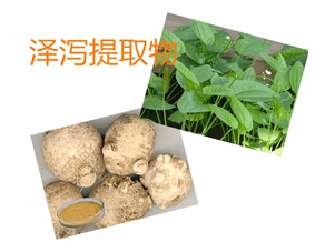泽泻多肽  泽泻粉  泽泻提取物   包邮