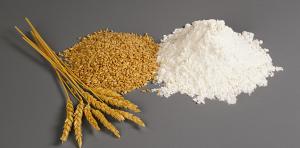 大麦肽  大麦低聚肽  全溶于水 