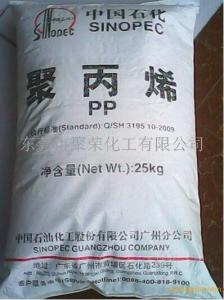 PP 廣州 F503 BK