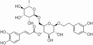 连翘酯苷A  标准品