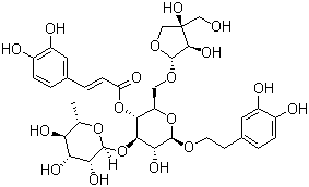 连翘酯苷B  标准品
