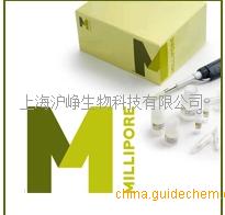 17-371EZ CHIP KIT|Chip  染色質(zhì)免疫沉淀試劑盒
