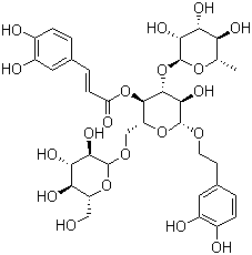 松果菊苷   标准品