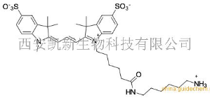 Sulfo-Cyanine3 amine，2183440-43-7，磺酸CY3氨基，Sulfo-Cy3 NH2 产品图片