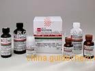 现货供应过氧化物酶（辣根）CAS号：9003-99-0 品质高 优惠促销 产品图片