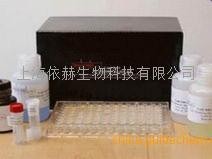 现货供应肾上腺酮CAS号：50-22-6品质高 优惠促销 产品图片