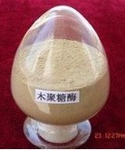 食品级木聚糖酶