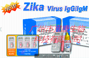 寨卡病毒IGG/IGM快速检测卡 产品图片